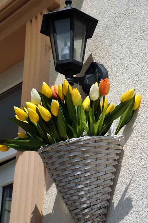 Hotel Oazis Hotel*** Nagykanizsa